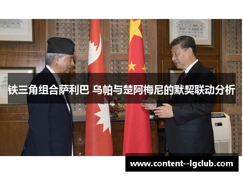 铁三角组合萨利巴 乌帕与楚阿梅尼的默契联动分析 铁三角组合萨利巴 乌帕与楚阿梅尼的默契联动分析