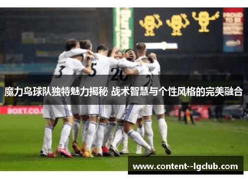 魔力鸟球队独特魅力揭秘 战术智慧与个性风格的完美融合 魔力鸟球队独特魅力揭秘 战术智慧与个性风格的完美融合