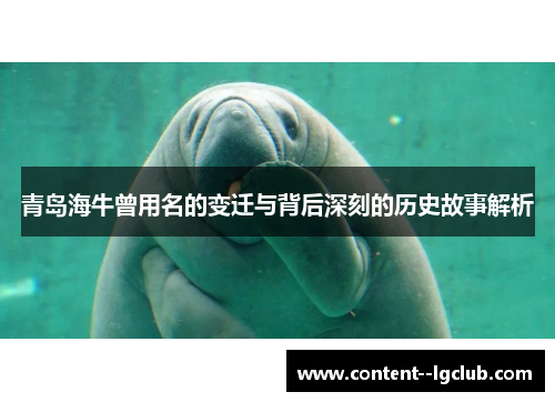 青岛海牛曾用名的变迁与背后深刻的历史故事解析
